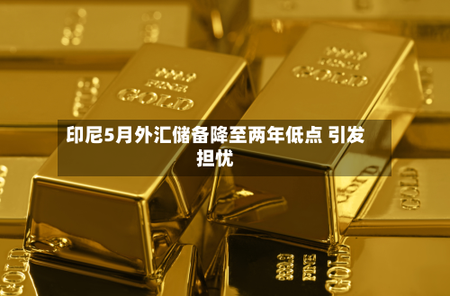 印尼5月外汇储备降至两年低点 引发担忧-第2张图片