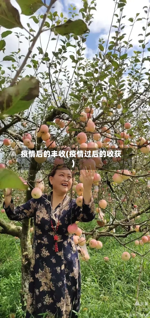 疫情后的丰收(疫情过后的收获)-第2张图片