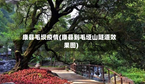康县毛坝疫情(康县到毛垭山隧道效果图)-第2张图片