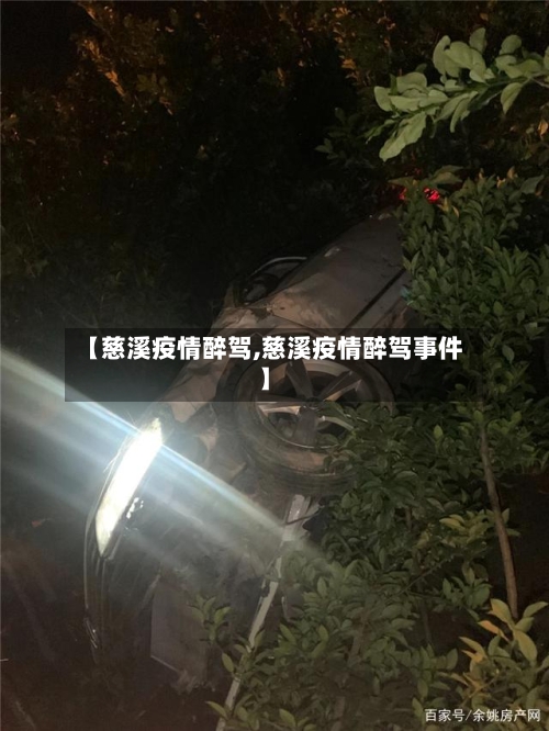 【慈溪疫情醉驾,慈溪疫情醉驾事件】