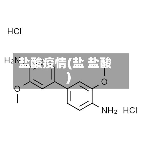 盐酸疫情(盐 盐酸)-第3张图片